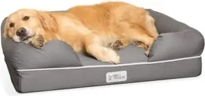 Golden Retriever resting on a PetFusion Ultimate Dog Bed — one of the best puppy beds 2025 with orthopedic memory foam, bolstered sides, and washable cover for comfort and support