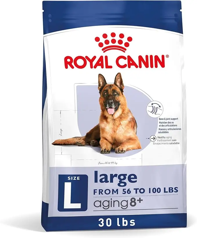 Royal Canin Large Aging 8+ dry dog food — formulated for large breed senior dog nutrition with joint support and healthy aging benefits.