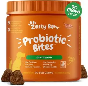 Zesty Paws Probiotic Bites for dogs – pumpkin flavor soft chews with six probiotics including Bacillus subtilis, designed to support gut health, digestion, and immune function. 90-count jar with vet-trusted DE111 formula.