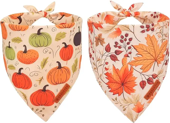 Set of two fall dog bandanas with festive designs — one featuring colorful pumpkins and the other autumn leaves and berries — a seasonal accessory in fall essentials for dogs 2025.