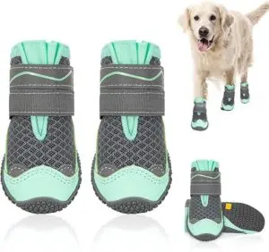 Set of breathable gray and mint green dog boots with non-slip soles, shown on a Golden Retriever — protective footwear in fall essentials for dogs 2025.