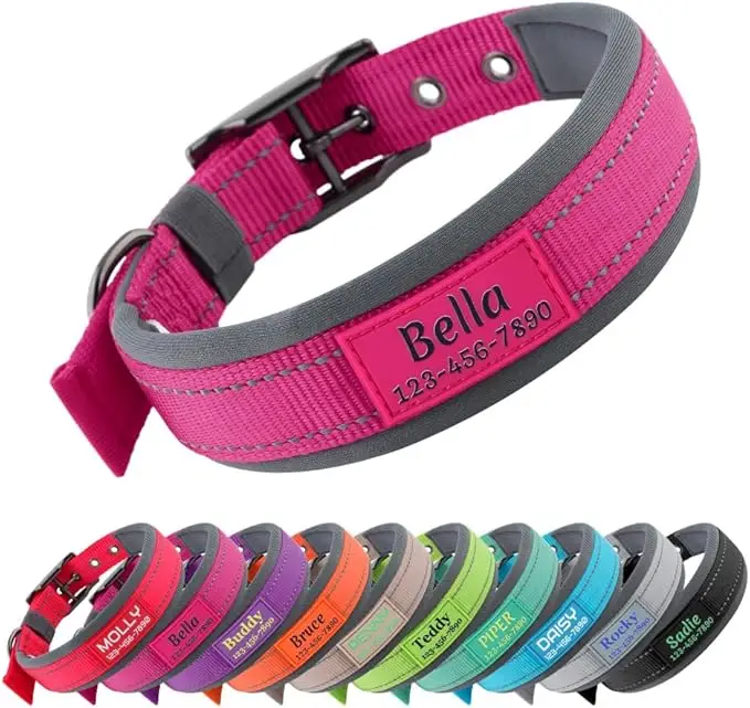 Personalized dog collar in bright pink with embroidered name and phone number, shown with multiple color options — a stylish and practical choice in fall essentials for dogs 2025.