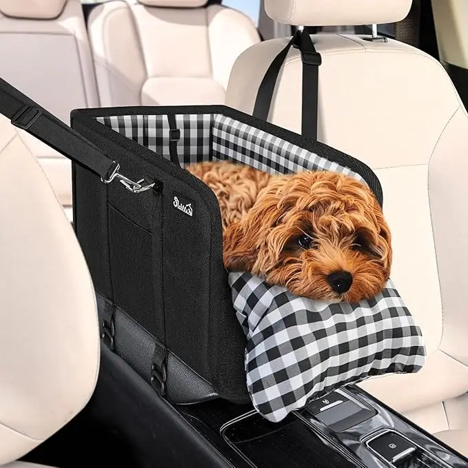 Small curly-haired dog resting in a black and plaid car seat booster with safety straps — a secure and cozy travel pick in fall essentials for dogs 2025.