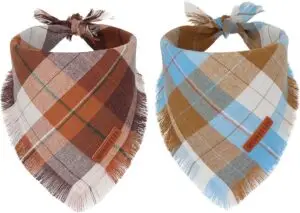 Set of two plaid dog bandanas in fall colors, brown and blue, with fringe edges — a stylish accessory in fall essentials for dogs 2025.