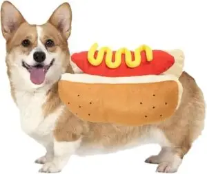 hotdog