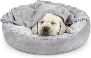Adorable Labrador puppy sleeping in the JEOJOY Cozy Cave Bed, one of the best puppy beds 2025 designed for comfort, warmth, and security.