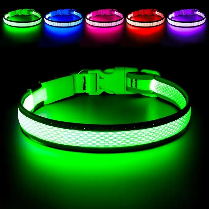 LED light-up dog collar glowing bright green with additional color options shown (blue, pink, red, purple) — a nighttime safety must-have in fall essentials for dogs 2025.
