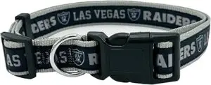 Las Vegas Raiders dog collar featuring official NFL design, part of football dog gear for pets on game day.