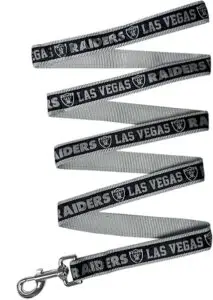Las Vegas Raiders dog leash with official NFL team logo, sturdy football dog gear for game day walks and pet fans.