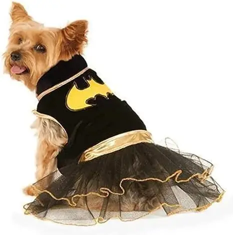Yorkie in a Batgirl-style tutu, showcasing the best dog Halloween costumes 2025 for funny and spooky celebrations.