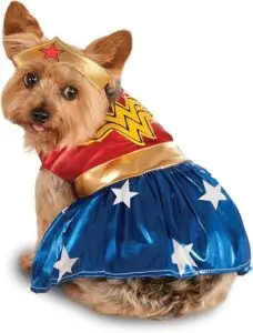 little yorkie in wonder woman costume